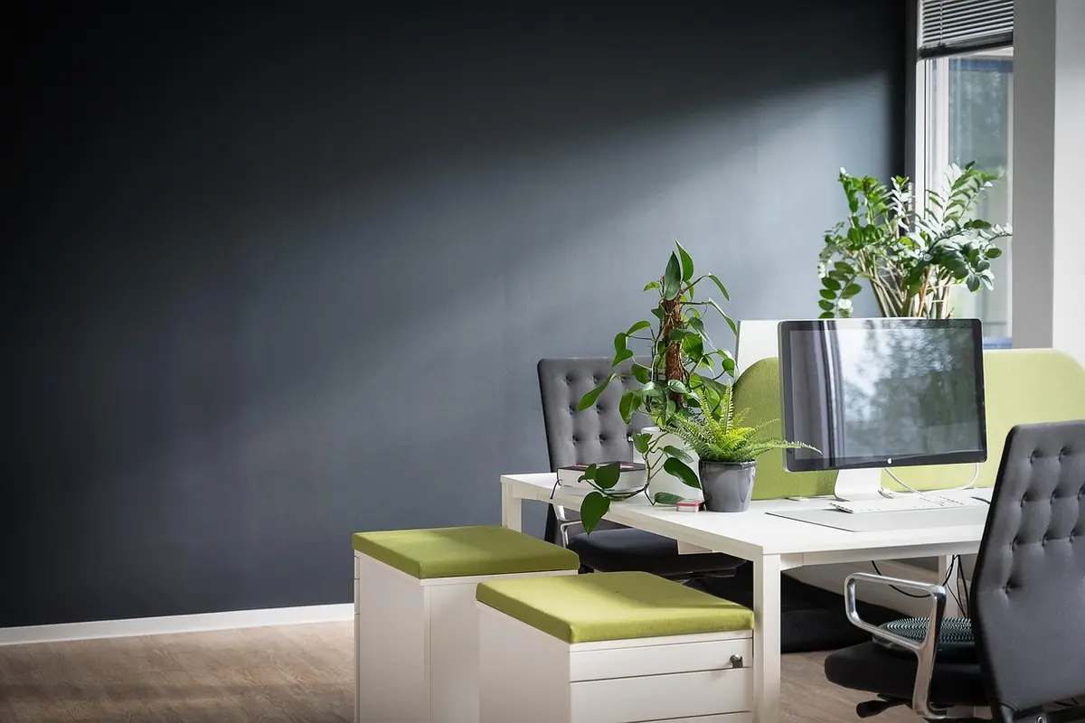 White Label Backlinks: The Agency Guide to Reselling Link Building